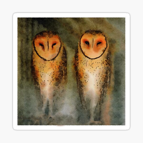 Barn Owl Sticker