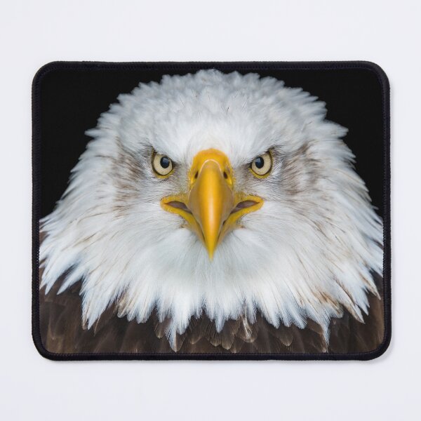 Item preview, Bald Eagle face designed and sold by T-shirt For You.