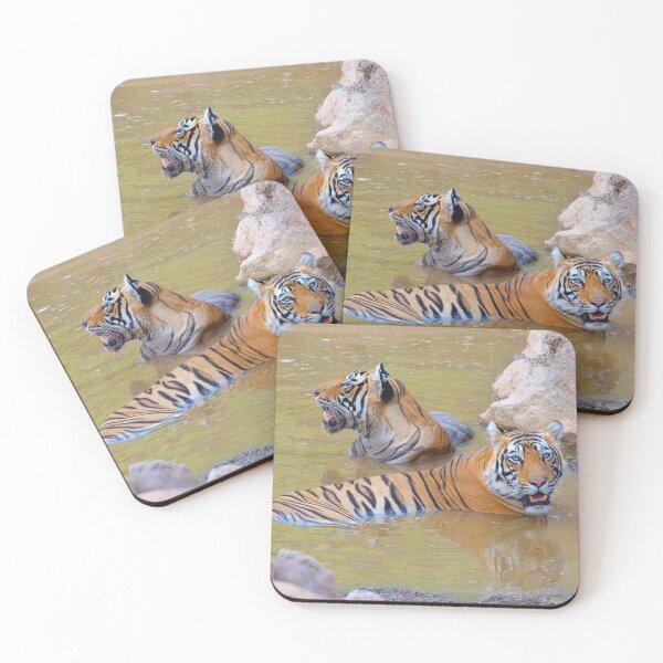 Item preview, Tigers bathing in the sun designed and sold by WabiSabi-Photos.