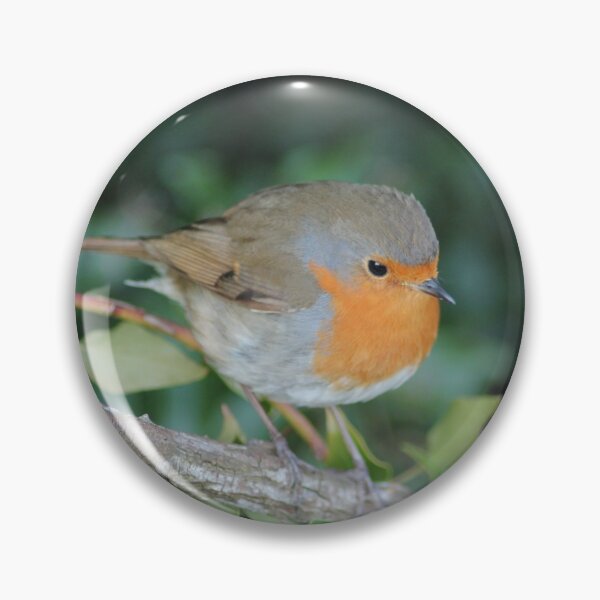 Item preview, Robin sat on a Branch designed and sold by Art-In-A-Lense.