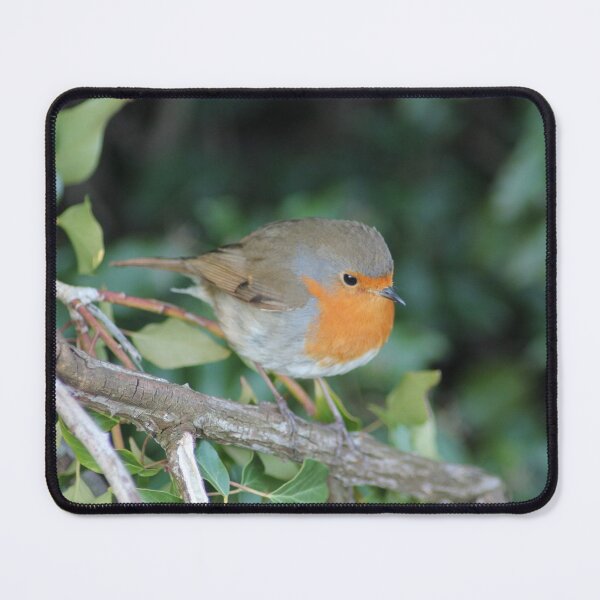 Item preview, Robin sat on a Branch designed and sold by Art-In-A-Lense.