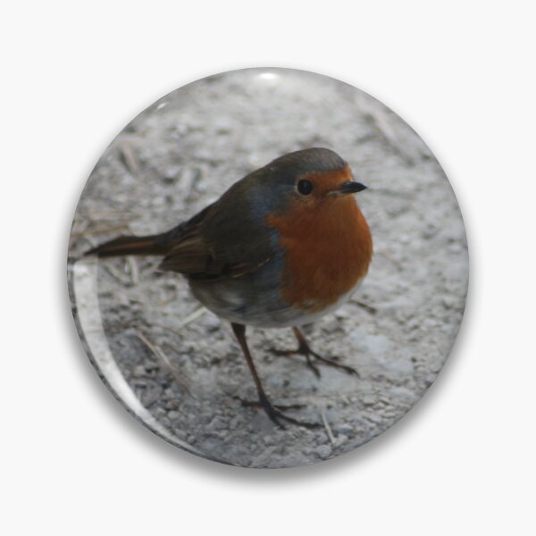 Item preview, Robin Redbreast designed and sold by Art-In-A-Lense.
