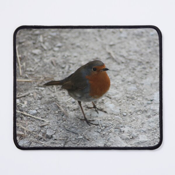 Item preview, Robin Redbreast designed and sold by Art-In-A-Lense.