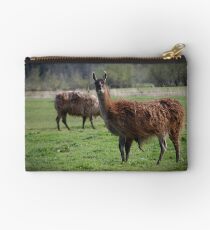 Llama Country Studio Pouch