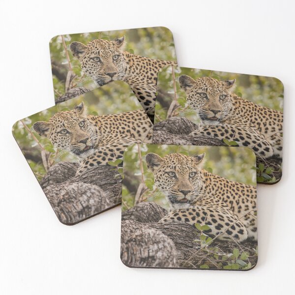 Item preview, Wild about being Wild designed and sold by iaintall.