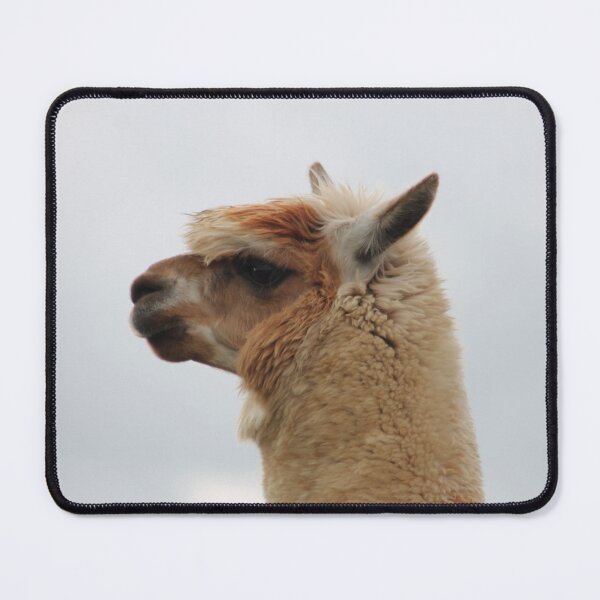 Item preview, Alpaca Head designed and sold by Art-In-A-Lense.
