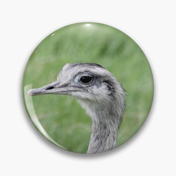 Item preview, Ostrich Peaking designed and sold by Art-In-A-Lense.