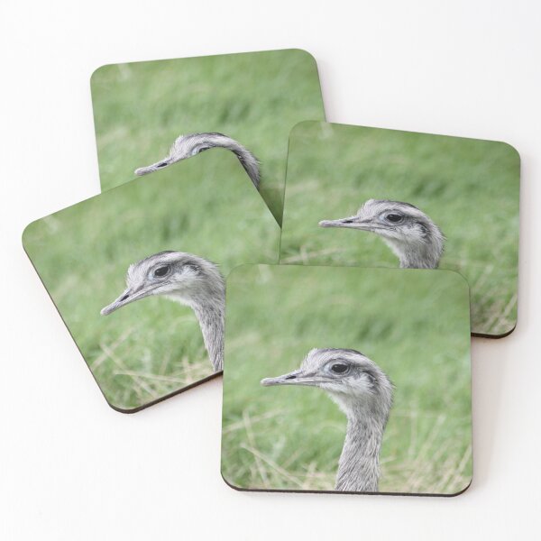Item preview, Ostrich Peaking designed and sold by Art-In-A-Lense.