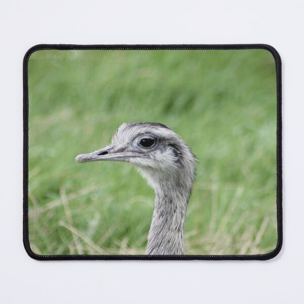 Item preview, Ostrich Peaking designed and sold by Art-In-A-Lense.