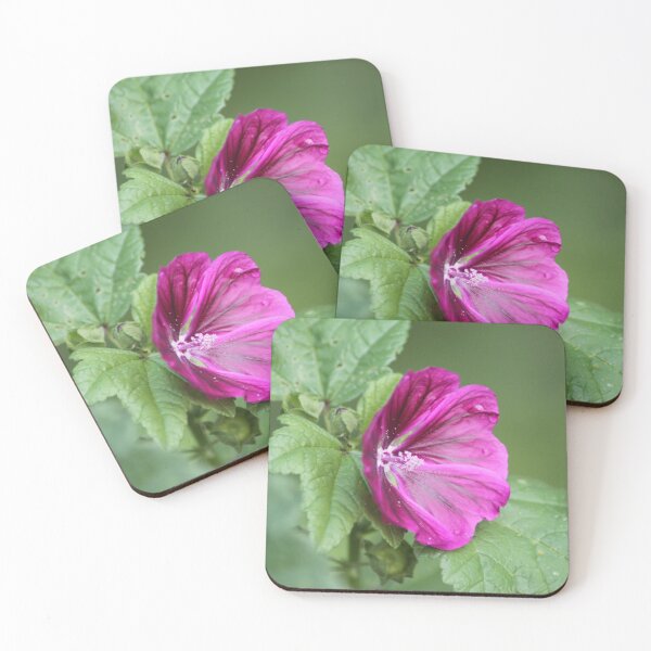 Item preview, Purple Flower in Bloom designed and sold by Art-In-A-Lense.