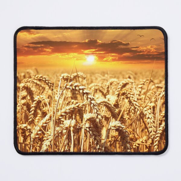 Item preview, Wheat field designed and sold by fourretout.
