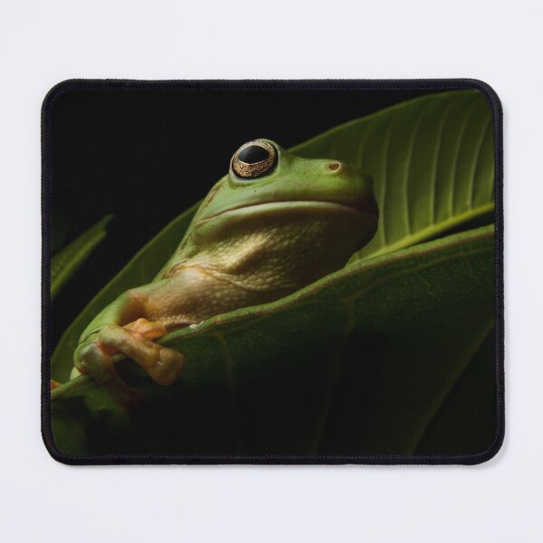 Item preview, Green Tree Frog designed and sold by Adam Brice.