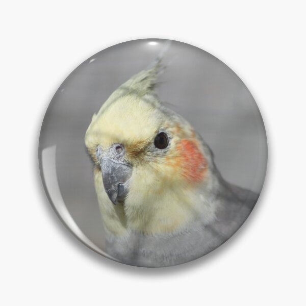 Item preview, Cockatiel Closeup designed and sold by Art-In-A-Lense.