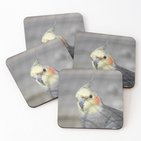 Item preview, Cockatiel Closeup designed and sold by Art-In-A-Lense.