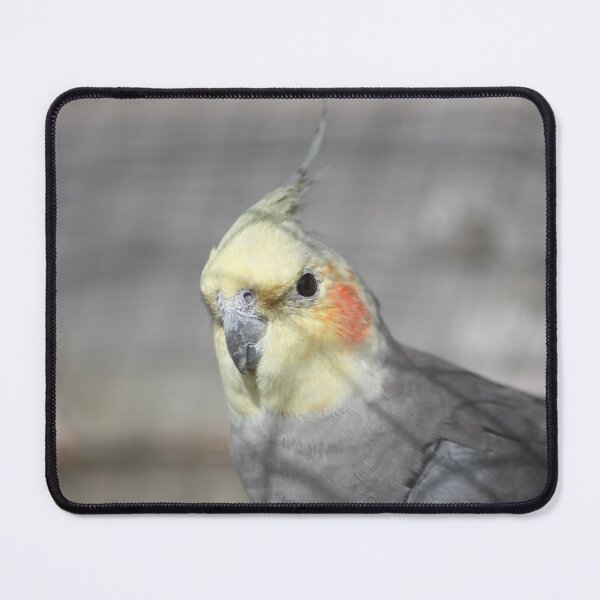 Item preview, Cockatiel Closeup designed and sold by Art-In-A-Lense.
