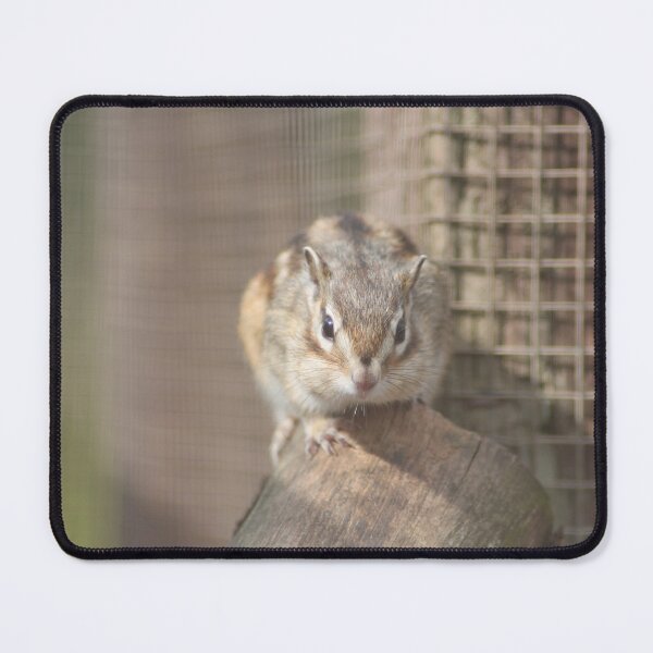 Item preview, Chipmunk designed and sold by Art-In-A-Lense.