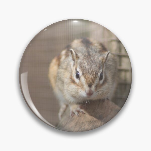 Artikelvorschau, Chipmunk entworfen und verkauft von Art-In-A-Lense.