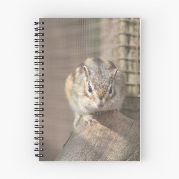 Item preview, Chipmunk designed and sold by Art-In-A-Lense.