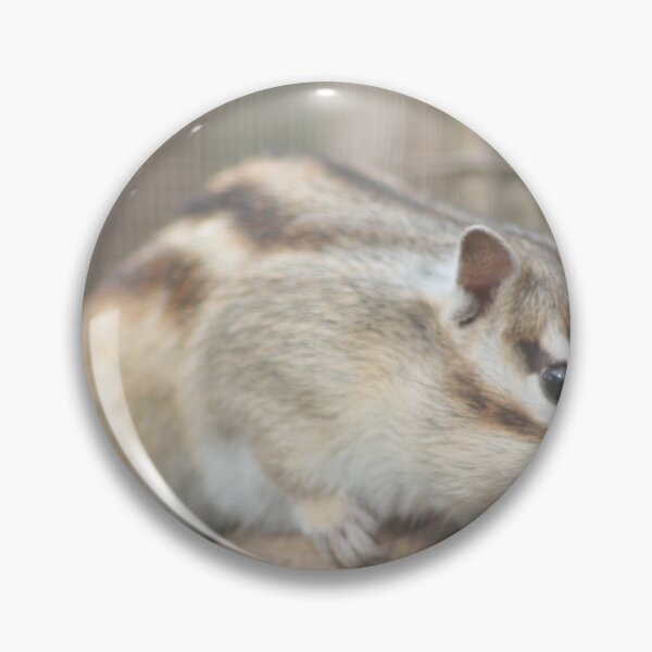 Artikelvorschau, Chipmunk entworfen und verkauft von Art-In-A-Lense.