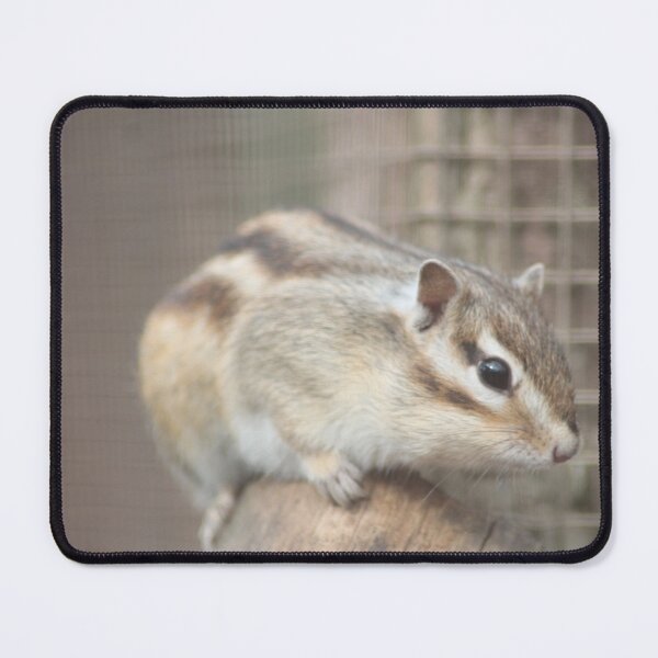 Item preview, Chipmunk designed and sold by Art-In-A-Lense.