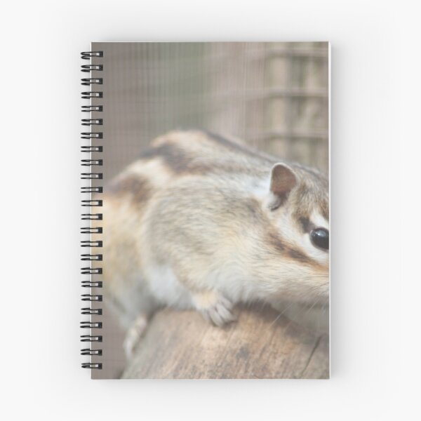 Item preview, Chipmunk designed and sold by Art-In-A-Lense.