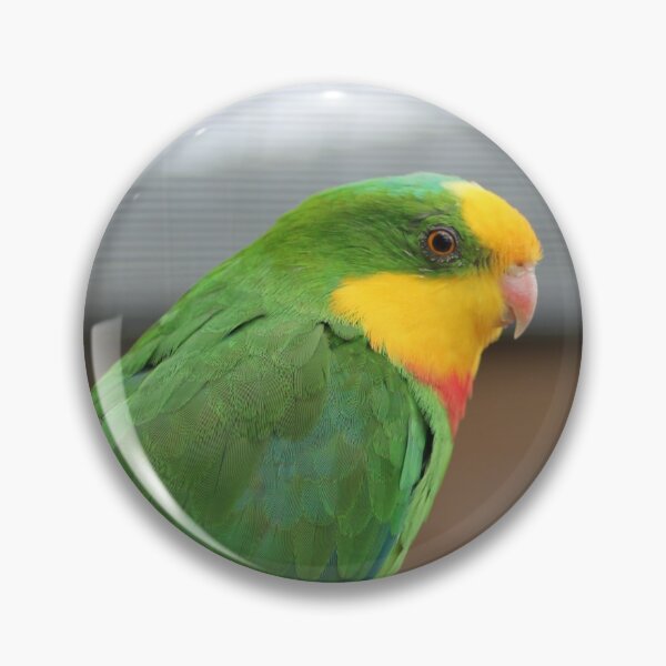 Item preview, Parrot Closeup designed and sold by Art-In-A-Lense.