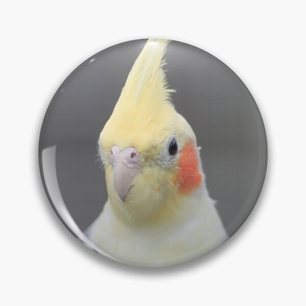 Item preview, Cockatiel Closeup designed and sold by Art-In-A-Lense.