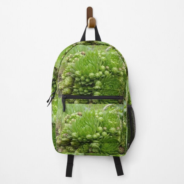 Item preview, Succulent designed and sold by miaterinka.