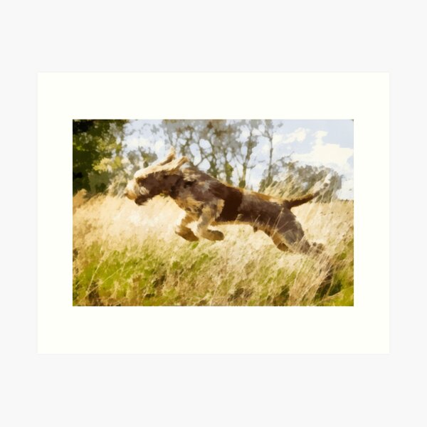 Leaping Luca Spinone Art Print