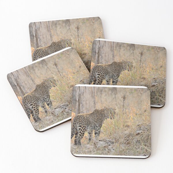 Item preview, Jungle and wildlife in India designed and sold by WabiSabi-Photos.