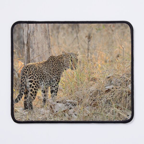 Item preview, Jungle and wildlife in India designed and sold by WabiSabi-Photos.