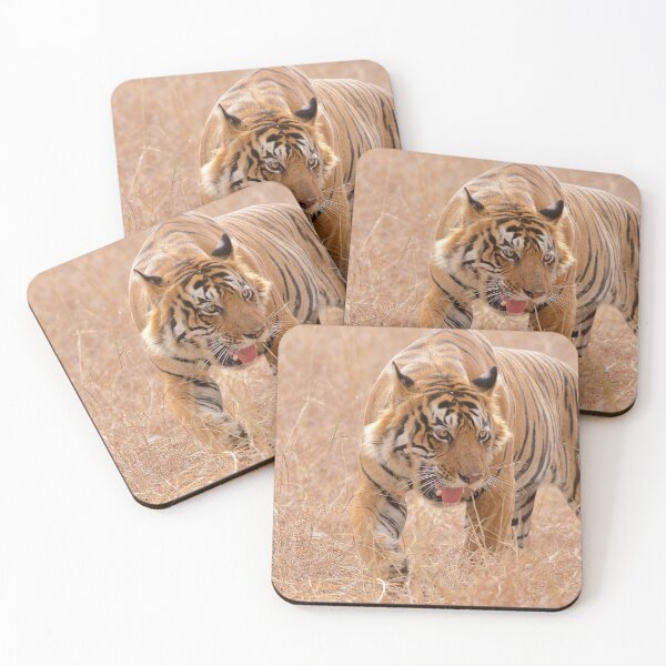 Item preview, India, wildlife, leopard, wildcats, rajasthan, forest, jungle, nikon designed and sold by WabiSabi-Photos.
