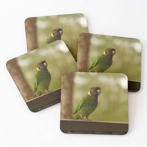 Item preview, Australian ringneck parrot on porch designed and sold by hendrikspix.