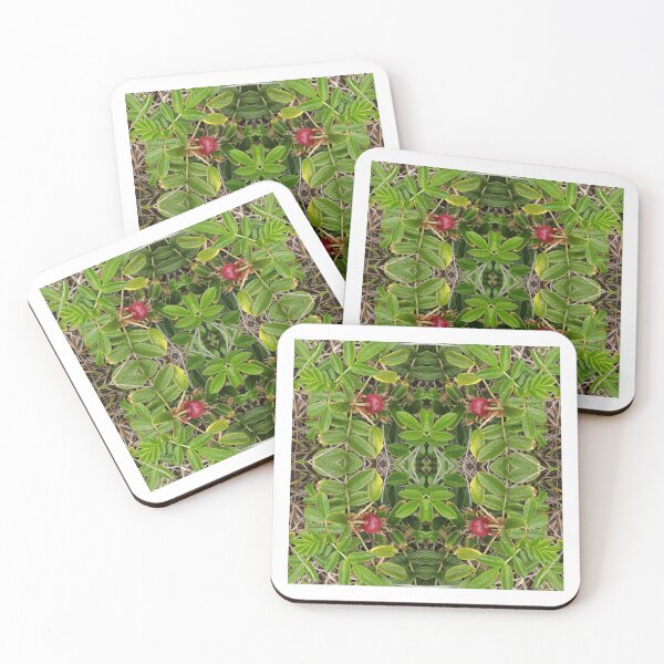 Item preview, Wild rose designed and sold by Olga Vialkova.