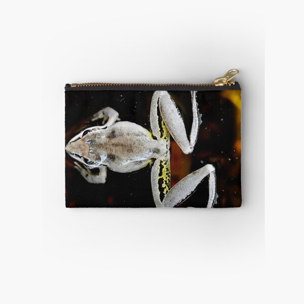 Item preview, Broad Palmed Frog - Litoria latopalmata 2 designed and sold by Normf.