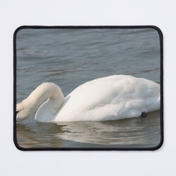 Item preview, The Swan designed and sold by Art-In-A-Lense.