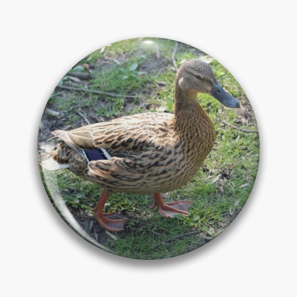 Item preview, The Duck designed and sold by Art-In-A-Lense.