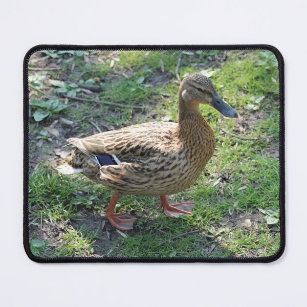 Item preview, The Duck designed and sold by Art-In-A-Lense.