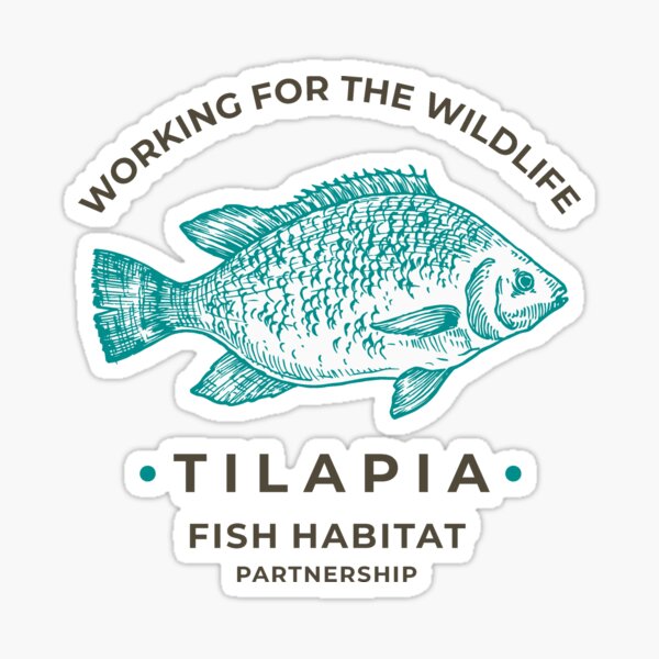 Production of Nile Tilapia — Vikaspedia