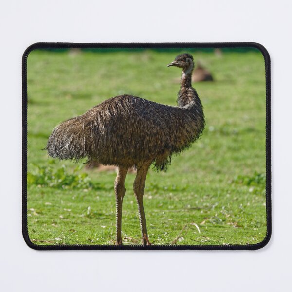 Item preview, Australian wild emu male designed and sold by hendrikspix.