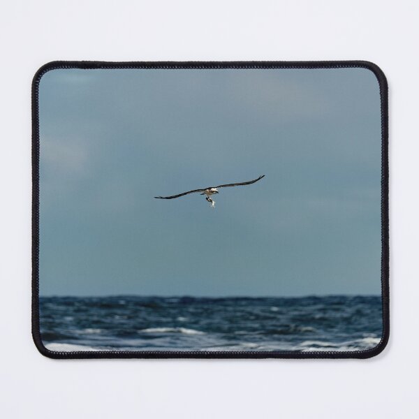 Item preview, Flying Eastern osprey with recently caught fish designed and sold by hendrikspix.