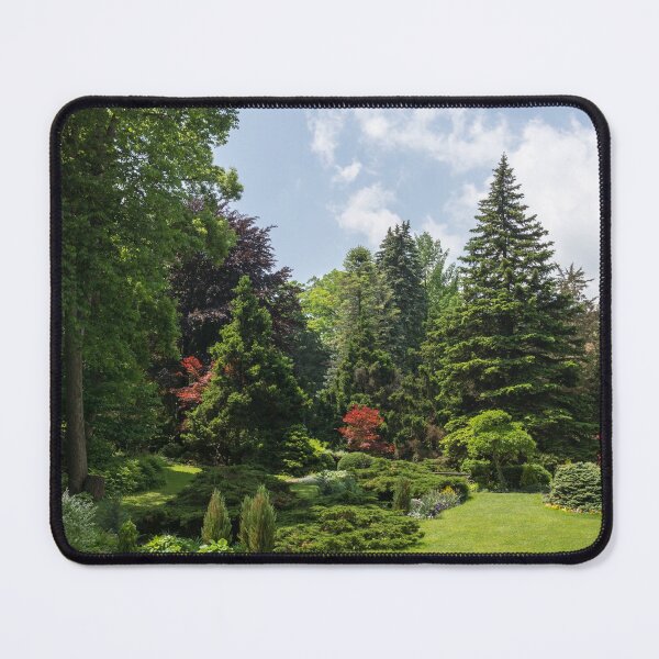Item preview, Incongruous - Three Bold Red Japanese Maples Among the Spring Greens designed and sold by Georgia Mizuleva.