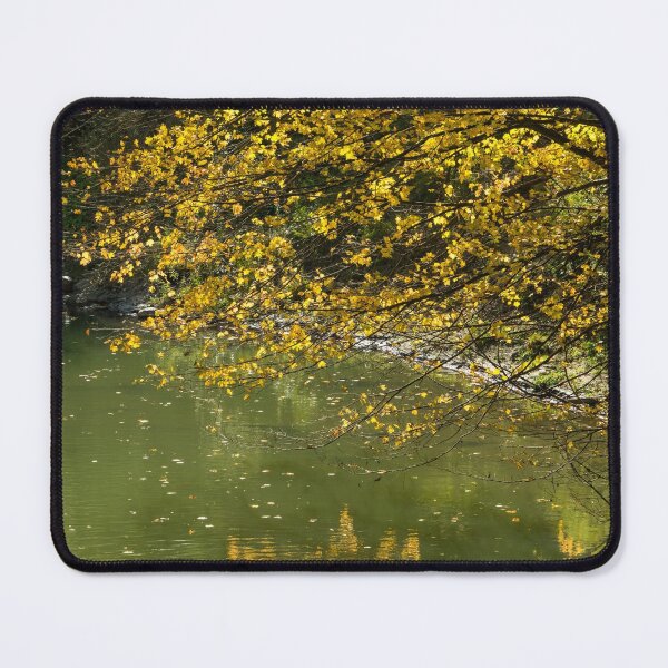 Item preview, Autumnal Riverbank - Golden Maple Tree Leaning Overwater designed and sold by Georgia Mizuleva.