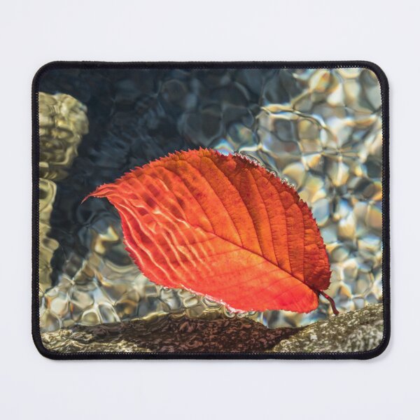Item preview, Playful Patterns - Vibrant Vermilion Cherry Leaf Floating Underwater designed and sold by Georgia Mizuleva.