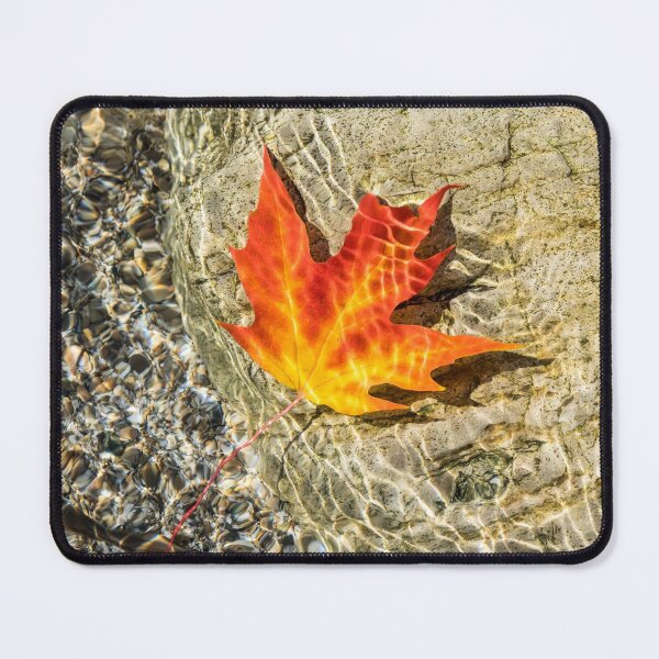 Item preview, Playful Patterns - Maple Leaf in Bold Yellow Orange and Red Floating Underwater designed and sold by Georgia Mizuleva.