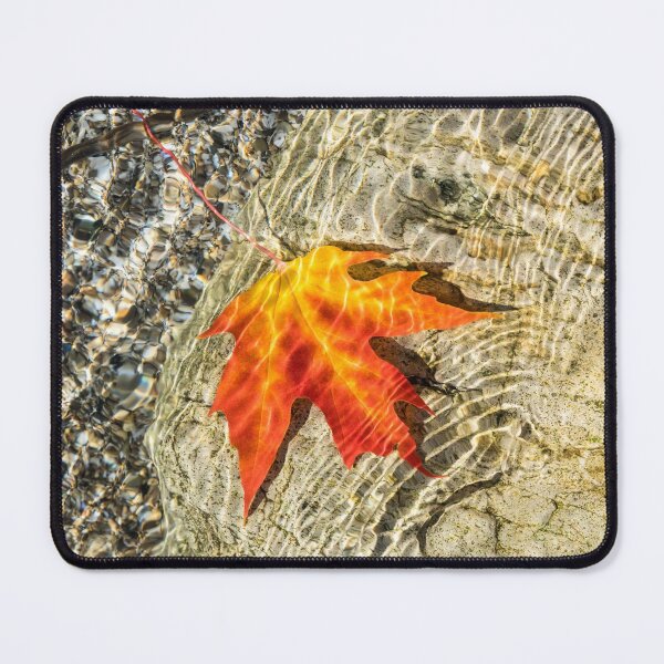 Item preview, Playful Patterns - Maple Leaf in Bold Yellow Orange and Vermilion Floating Underwater designed and sold by Georgia Mizuleva.