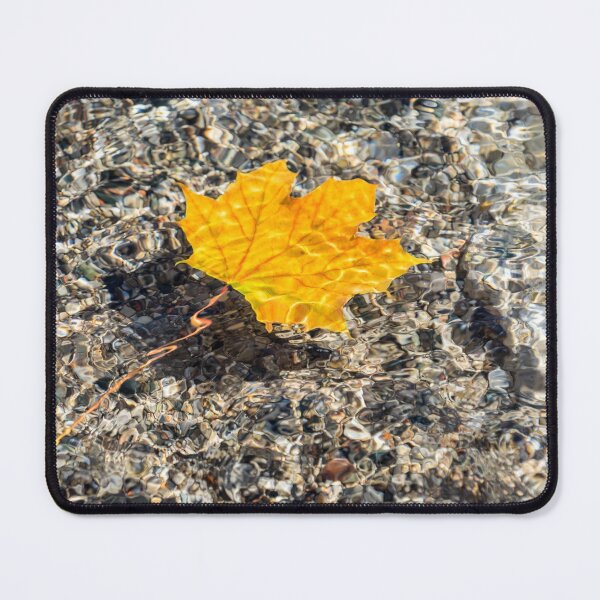 Item preview, Playful Patterns - Golden Maple Leaf with Scarlet Veins Floating Underwater designed and sold by Georgia Mizuleva.