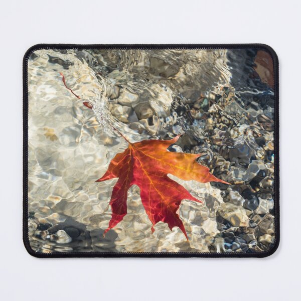 Item preview, Playful Patterns - Maple Leaf in Bold Orange and Vermilion Floating Underwater designed and sold by Georgia Mizuleva.