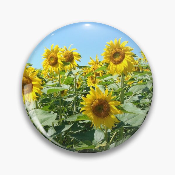 Item preview, Natur, Landschaft, Sonnenblumen, Feld, gelb, Fotografie, BebiCervin designed and sold by BebiCervin.