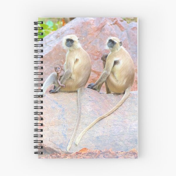 Item preview, leaf monkey, langur, jungle, wildlife, tigers, india, rajasthan, india, ranthambore, wildcats, forest designed and sold by WabiSabi-Photos.